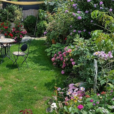 Ferienwohnung Am Berg, 35Qm Rickenbach  Zewnętrze zdjęcie