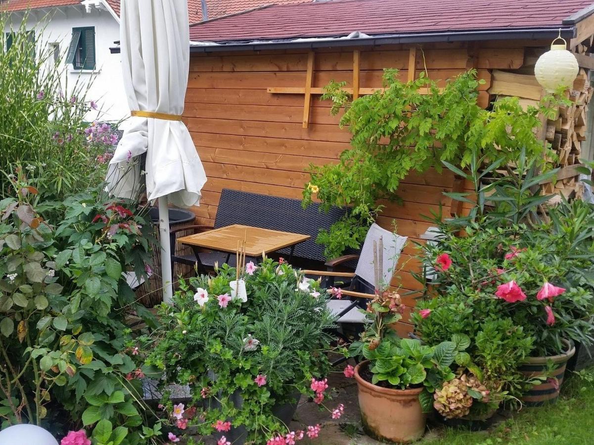 Ferienwohnung Am Berg, 35Qm Rickenbach  Zewnętrze zdjęcie