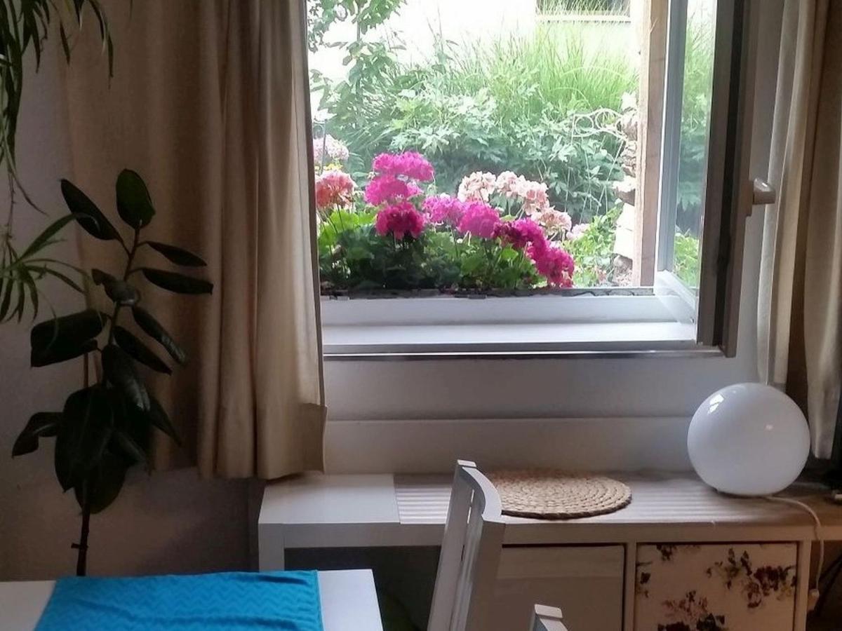 Ferienwohnung Am Berg, 35Qm Rickenbach  Zewnętrze zdjęcie