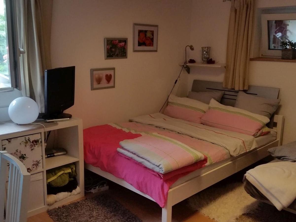 Ferienwohnung Am Berg, 35Qm Rickenbach  Zewnętrze zdjęcie